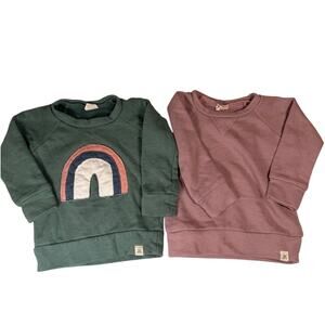 Lulu + Roo Baby Sweatshirt Bundle of 2 Size 12-18 Months